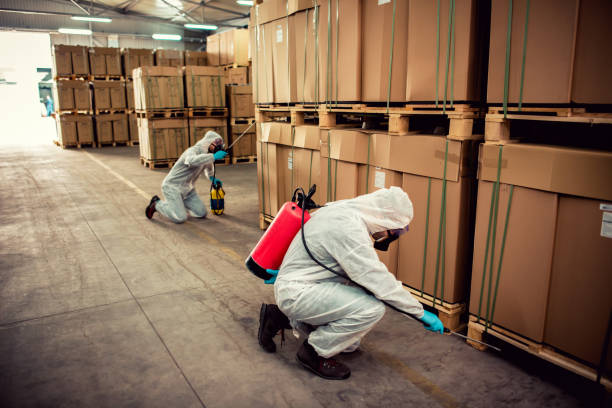 Best Pest Removal Services  in Green Bay, WI