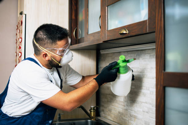 Best Insect Control  in Green Bay, WI